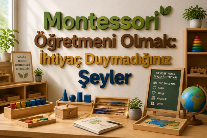Montessori Öğretmeni Olmak İhtiyaç Duymadığınız Şeyler