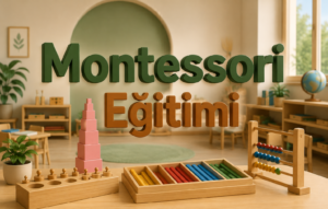 Montessori Eğitimi 1 Montessori Eğitimi