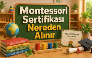 Montessori Sertifikası Nereden Alınır 1 Montessori Sertifikası Nereden Alınır