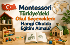 Montessori Türkiye’deki Okul Seçenekleri Hangi Okulda Eğitim Almalı