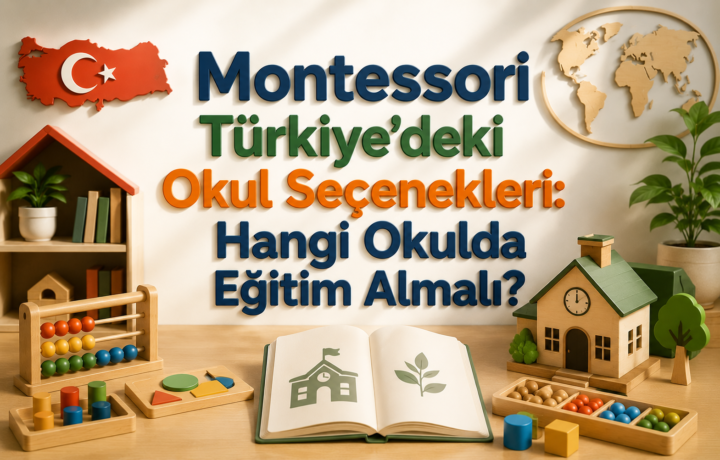 Montessori Türkiye’deki Okul Seçenekleri Hangi Okulda Eğitim Almalı