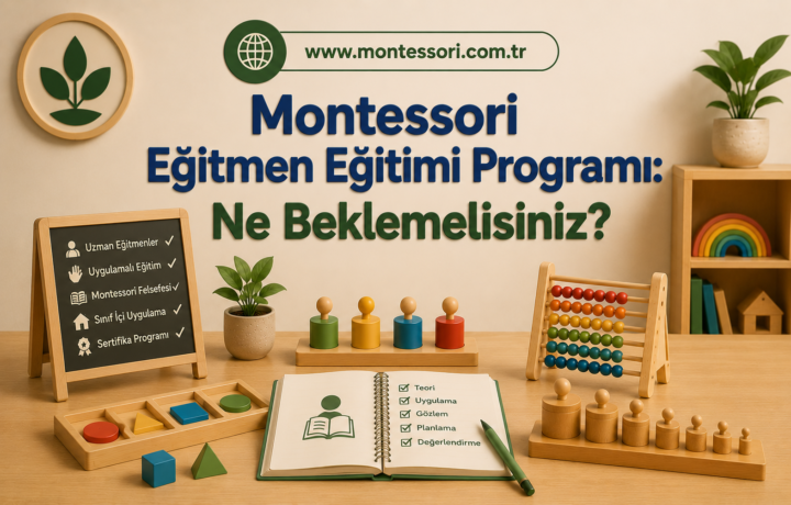 Montessori Eğitmen Eğitimi Programı Ne Beklemelisiniz
